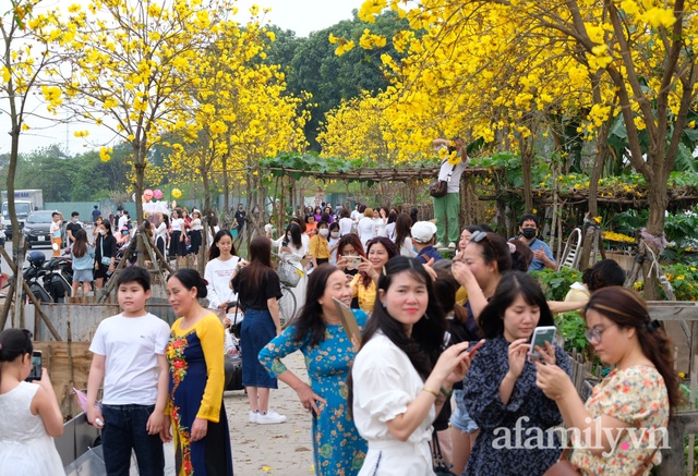 Đường hoa phong linh Park City vừa đóng cửa, người Hà Nội lại đổ xô tới chụp ảnh tại 1 địa điểm khác tạo nên khung cảnh đông đúc, hỗn loạn - Ảnh 1.