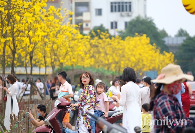 Đường hoa phong linh Park City vừa đóng cửa, người Hà Nội lại đổ xô tới chụp ảnh tại 1 địa điểm khác tạo nên khung cảnh đông đúc, hỗn loạn - Ảnh 3.
