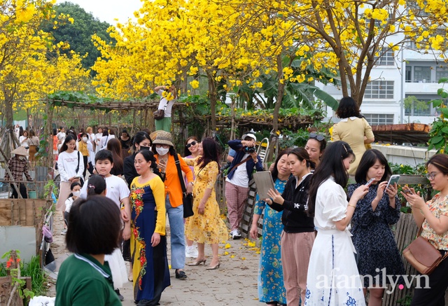 Đường hoa phong linh Park City vừa đóng cửa, người Hà Nội lại đổ xô tới chụp ảnh tại 1 địa điểm khác tạo nên khung cảnh đông đúc, hỗn loạn - Ảnh 5.