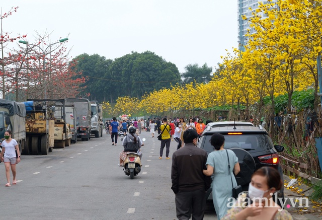 Đường hoa phong linh Park City vừa đóng cửa, người Hà Nội lại đổ xô tới chụp ảnh tại 1 địa điểm khác tạo nên khung cảnh đông đúc, hỗn loạn - Ảnh 7.