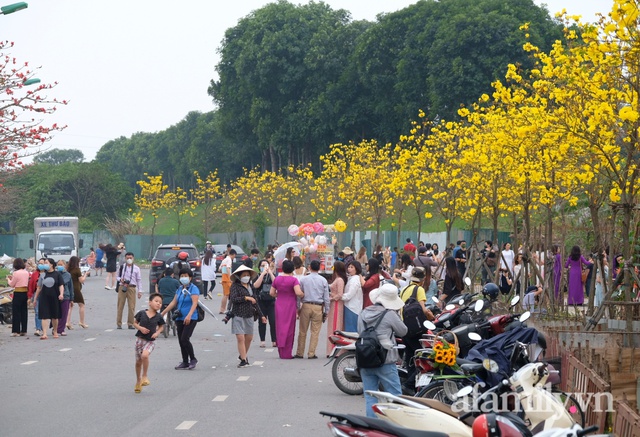 Đường hoa phong linh Park City vừa đóng cửa, người Hà Nội lại đổ xô tới chụp ảnh tại 1 địa điểm khác tạo nên khung cảnh đông đúc, hỗn loạn - Ảnh 8.