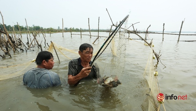  Độc chiêu dỡ chươm, giăng lưới bắt cá trên sông thu tiền triệu mỗi ngày - Ảnh 12.