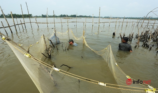  Độc chiêu dỡ chươm, giăng lưới bắt cá trên sông thu tiền triệu mỗi ngày - Ảnh 5.