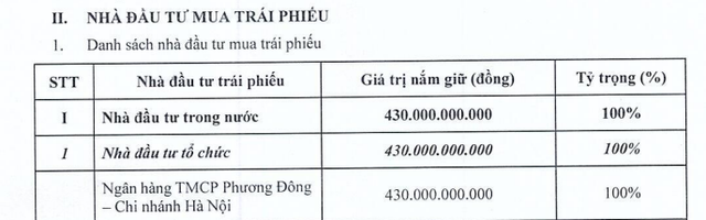 Các chủ nợ đang cho Tập đoàn FLC vay vốn là ai? - Ảnh 7.