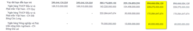 Các chủ nợ đang cho Tập đoàn FLC vay vốn là ai? - Ảnh 4.