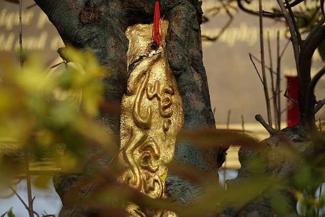  Đại gia Việt dát vàng SJC lên cây mai, dàn mai vàng bạc tỷ bất ngờ đạt kỷ lục thế giới - Ảnh 7.