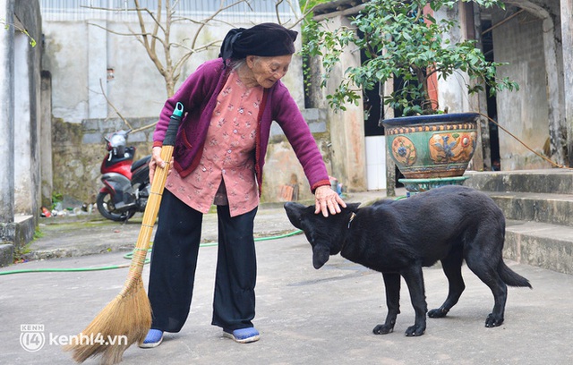 Ngày 8/3 gặp cụ bà 108 tuổi sống bên chú chó mực, nhiều khi buồn lại trèo tường thoăn thoắt đi chơi - Ảnh 4.