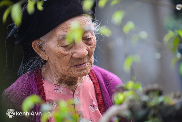 Ngày 8/3 gặp cụ bà 108 tuổi sống bên chú chó mực, nhiều khi buồn lại trèo tường thoăn thoắt đi chơi - Ảnh 9.