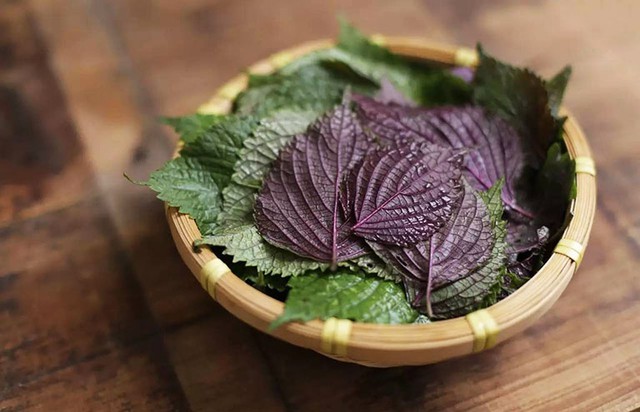 Thứ rau ở Việt Nam trồng đầy vườn, sang Nhật lại được tôn thành lá hồi sinh: Tận dụng có thể bảo vệ xương khớp, chống ung thư, bổ nội tạng - Ảnh 4.