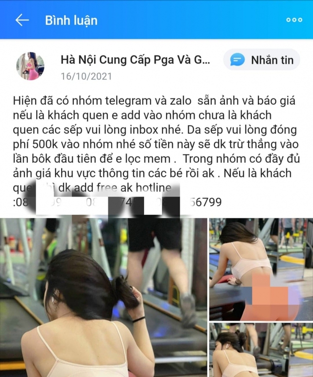 Bi hài chuyện sưu tập gà Tây - Ảnh 4.