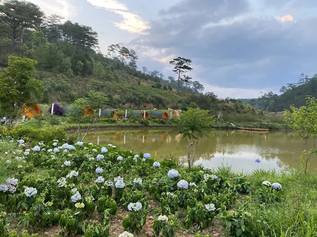 What does the resort in the middle of the pine forest in Dalat have that the daughter-in-law of tycoon Jonathan Hanh Nguyen often comes to?  - Photo 9.