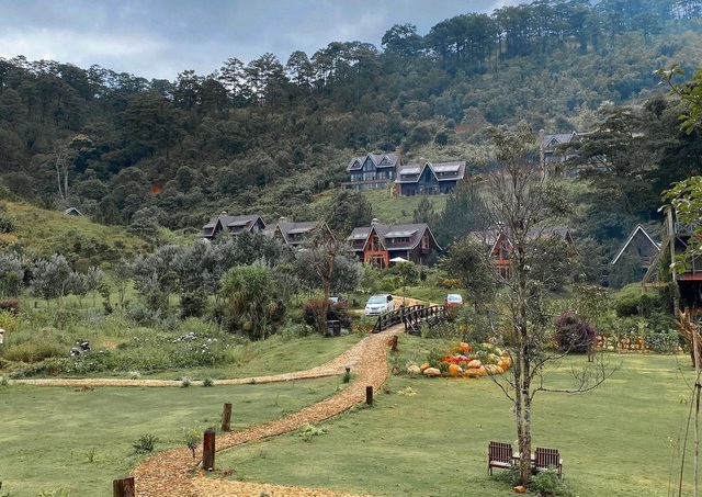 What does the resort in the middle of the pine forest in Dalat have that the daughter-in-law of tycoon Jonathan Hanh Nguyen often comes to?  - Photo 1.