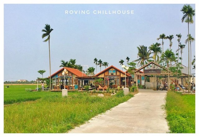 Go to a chill cafe like in Hoi An: Tables and chairs are placed in the middle of the rice fields, freely take pictures to check-in in a beautiful frame like a movie - Photo 1.