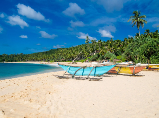 Sri Lanka – hòn đảo ‘thiên đường’ từng lọt danh sách những điểm đến hàng đầu, du lịch từng đóng góp 12% GDP toàn quốc - Ảnh 3.
