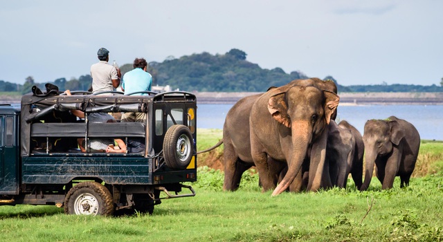 Sri Lanka – hòn đảo ‘thiên đường’ từng lọt danh sách những điểm đến hàng đầu, du lịch đóng góp 12% GDP toàn quốc - Ảnh 7.