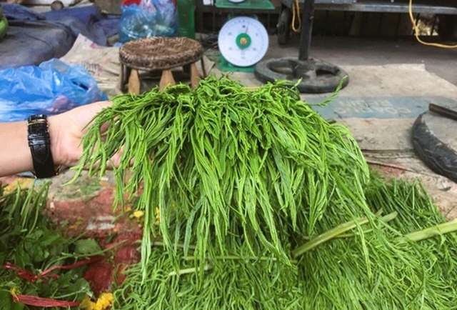 The rotten vegetable that is hot on the internet is shared by natives with their experience of eating, both crispy and delicious and a long-lasting remedy for bones and joints - Photo 2.