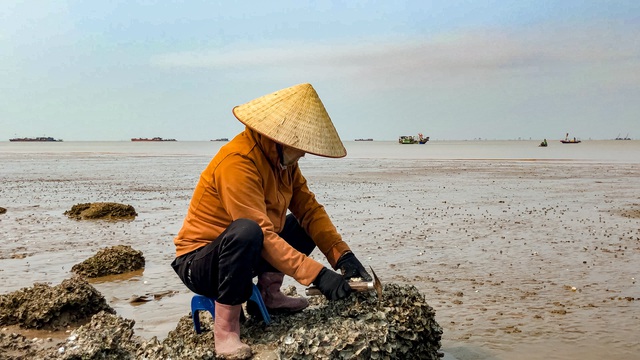 Tần tảo kiếm sống bằng nghề cầm búa ra biển chọc đá, kiếm vài trăm nghìn mỗi ngày - Ảnh 6.