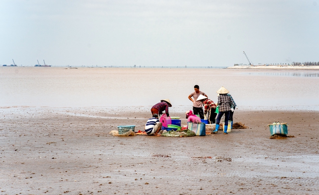 Tần tảo kiếm sống bằng nghề cầm búa ra biển chọc đá, kiếm vài trăm nghìn mỗi ngày - Ảnh 9.