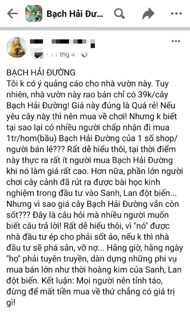   Bach Hai street sold for 200 million, lowered to 30 million, still no one asked to buy it - Photo 2.