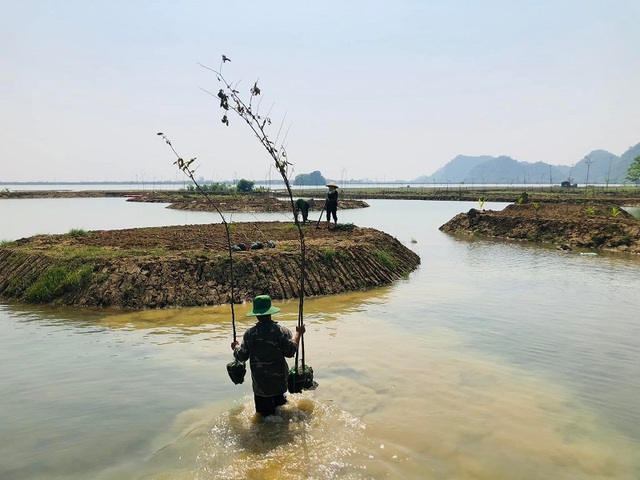 20-year-old failed to start a business, owed 3 billion in debt, the young man shed his shirt and established an ecological village, raising goats and snails, growing clean vegetables, opening a homestay from an abandoned resort - Photo 6.