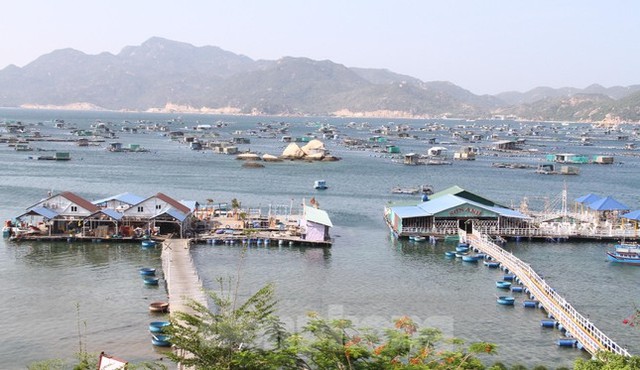  Khánh Hoà ngừng hoạt động du lịch tại đảo Bình Ba và Bình Hưng  - Ảnh 1.