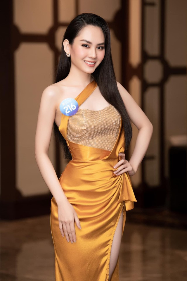 Nhan sắc 4 thí sinh có profile khủng với IELTS 8.0 ở Miss World Vietnam 2022 - Ảnh 11.