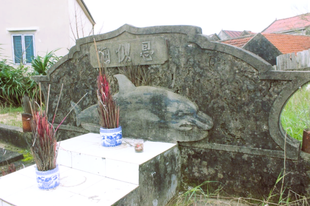 Linh thiêng nghĩa địa cá Ông - nơi ẩn chứa một trong những tín ngưỡng thờ cúng cổ xưa nhất, đức tin sâu thẳm của ngư dân bám biển - Ảnh 18.