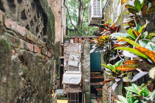  Bên trong những căn biệt thự cũ ở Hà Nội: Có đến 5, 7 hộ gia đình sinh sống chung; tưởng ở đất vàng không ngờ ẩm thấp, chật chội - Ảnh 12.