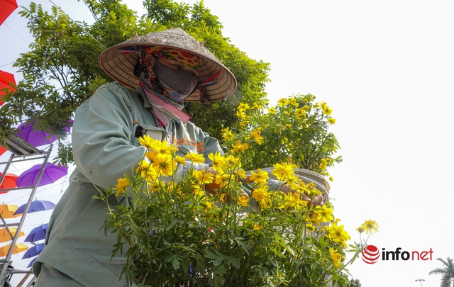 Phố đi bộ Trịnh Công Sơn rực rỡ sắc màu, sẵn sàng hoạt động trở lại cuối tuần này - Ảnh 11.