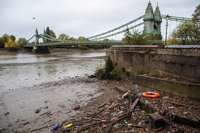 Sông Thames - Từ dòng sông chết đến sạch nhất thế giới - Ảnh 1.