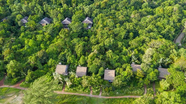 Phu Quoc has the most beautiful forest resort in the world: The price is less than 2 million VND/night, no TV, air conditioner, refrigerator, but opening the door is to touch nature - Photo 2.