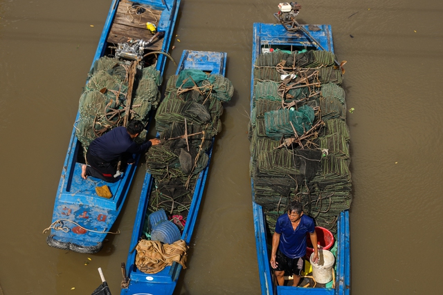 Những người lội bùn săn bạch tuộc, chem chép ở thành phố lớn nhất Việt Nam - Ảnh 3.