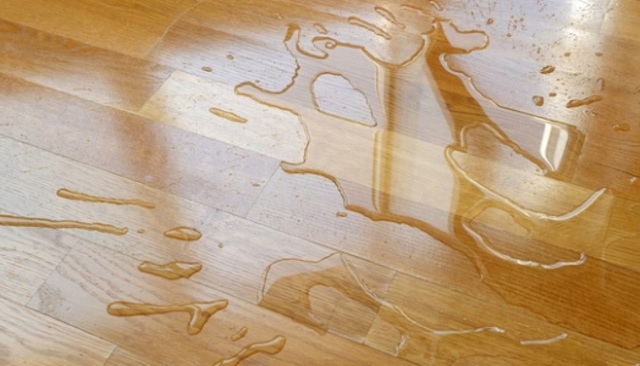  Sàn gỗ công nghiệp được quảng cáo chịu nước, chịu ẩm tốt: Thực sự có được như lời đồn? - Ảnh 1.