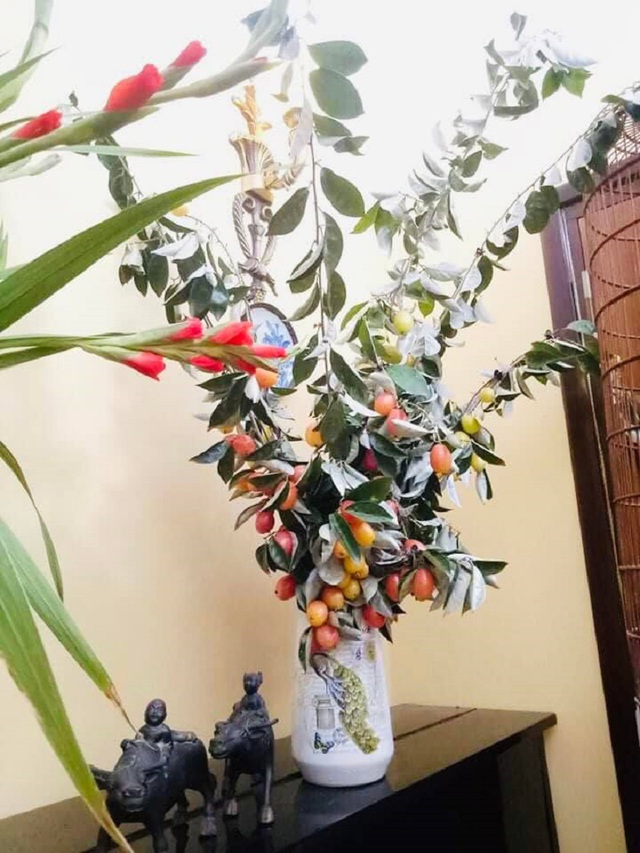 The unique fruit tree, just to decorate the house while waiting for the fruit to ripen, makes many Ha Thanh sisters love it - Photo 4.