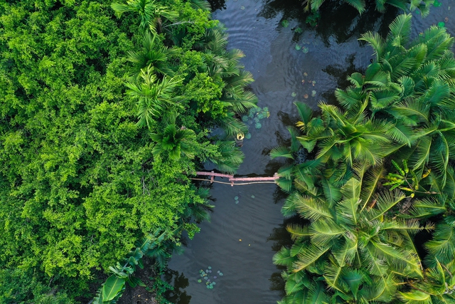 Miền Tây sông nước gói trọn ở Nhà Dì Sáu - khu nghỉ dưỡng sinh thái mướt xanh, bình yên như ở NHÀ - Ảnh 4.