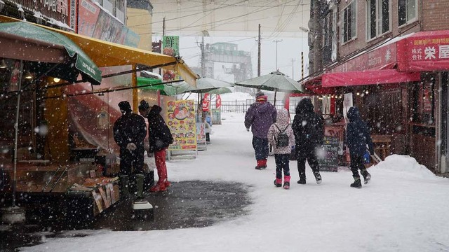 Cảnh tượng choáng ngợp của xứ sở mùa đông Hokkaido, vừa ngắm biển vừa nghịch tuyết là cảm giác thế nào? - Ảnh 5.