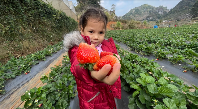 A 4-year-old son of a 4-year-old mumbles 5 languages, his father insists that he does not force him, but always inspires, parents who are not good at foreign languages ​​can still teach their children in these 3 ways - Photo 6.