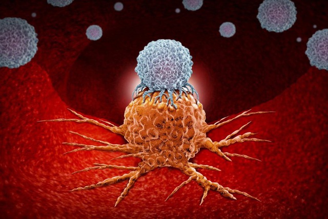  Tế bào ung thư mạnh hơn tế bào thường: 5 sai lầm có thể ảnh hưởng tính mạng người bệnh - Ảnh 1.