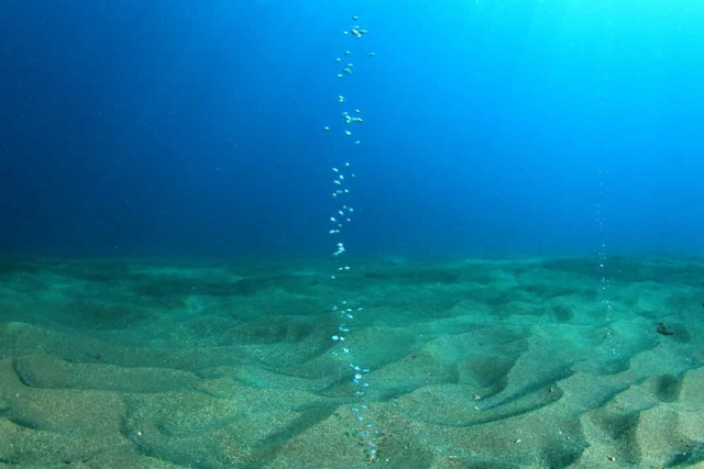 Những sự thật thú vị về đại dương có thể bạn chưa biết - Ảnh 14.
