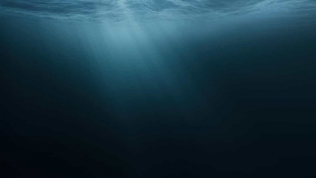 Interesting facts about the ocean you may not know - Photo 7.