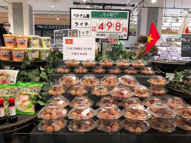 Một loại quả Việt Nam thắng lớn tại Nhật, thương nhân Trung Quốc nườm nượp tìm mua - Ảnh 1.