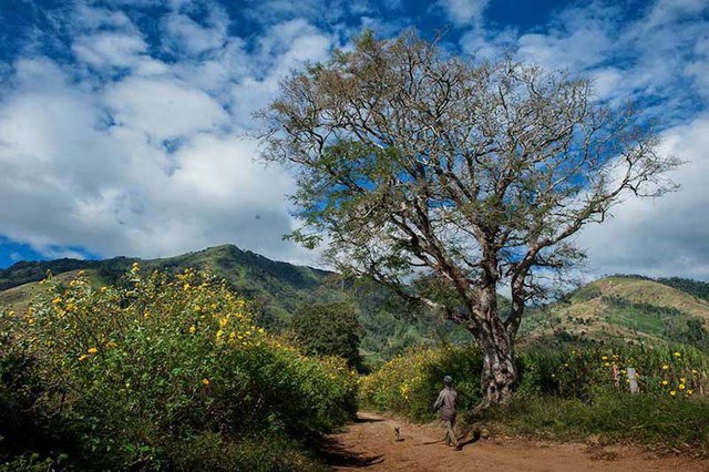 An emerging paradise in the Central Highlands: The crater is winding in the middle of unspoiled nature, each season is colored by a beautiful fairy-like flower - Photo 4.