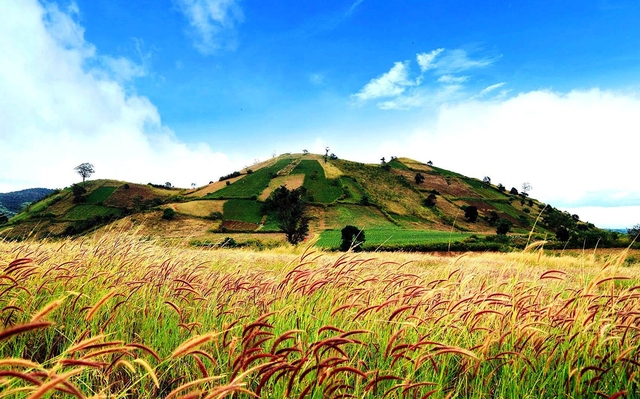 Emerging paradise in the Central Highlands: The crater winds in the middle of unspoiled nature, each season is colored by a beautiful fairy-like flower - Photo 9.