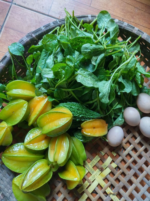 Gia đình chạy trốn áp lực sống ở Hà Nội, cất bằng cử nhân về quê làm nông dân chăn vịt - Ảnh 18.