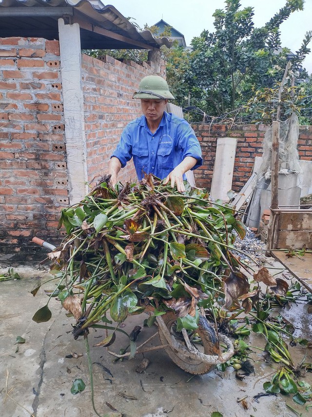 Gia đình chạy trốn áp lực sống ở Hà Nội, cất bằng cử nhân về quê làm nông dân chăn vịt - Ảnh 8.
