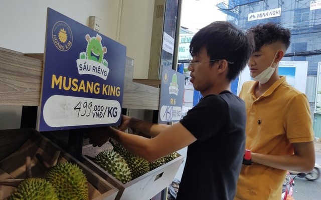 Stunned with the price of Musang King durian grown in Vietnam - Photo 1.
