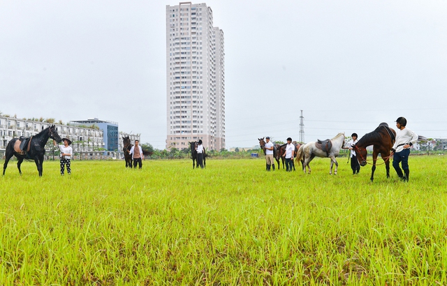 Ảnh: Người Hà Nội chi tiền triệu học cưỡi ngựa - Ảnh 12.