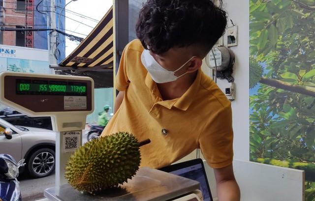 Stunned with the price of Musang King durian grown in Vietnam - Photo 4.