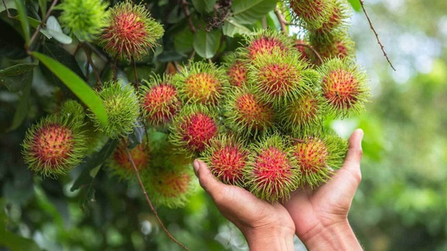 Những loại trái cây rất phổ biến ở Việt Nam nhưng lại là “nỗi ám ảnh” trong mắt người nước ngoài vì hình thù kỳ dị - Ảnh 6.