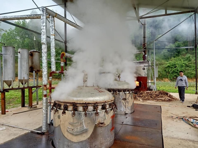 Chàng trai 25 tuổi bỏ ngang đại học về quê, kiếm tiền tỷ nhờ đam mê với lá cây - Ảnh 7.